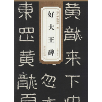 11晋好大王碑978753984949222