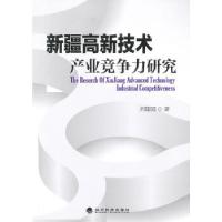 11新疆高新技术产业竞争力研究978751412560322