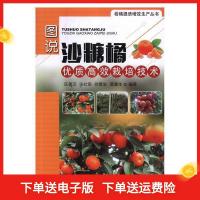 11图说沙糖橘优质高效栽培技术社级市场书978710923846622
