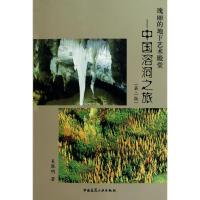 11瑰丽的地下艺术殿堂/中国溶洞之旅(第2版)978711212479422