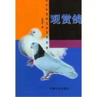 11观赏鸽978710906726422