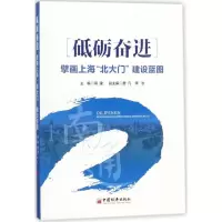 11砥砺奋进:擘画上海