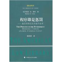 11程序即是惩罚——基层刑事法院的案件处理978756205044522