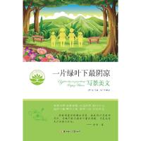 11好看的欧洲童话绘本?小公主的生日978702011353822