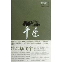 11平原978702008772322