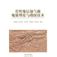 11岩性地层油气藏地质理论与勘探技术978750216748622