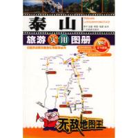 11泰山旅游实用图册978780653285022