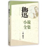 11鲁迅小说全集(丁聪插图本)978702011023022