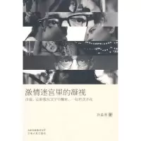 11激情迷宫里的凝视978722206565922