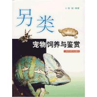 11另类宠物饲养与鉴赏978753239778522