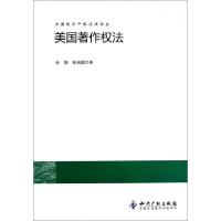 11美国著作权法/外国知识产权法律译丛978751301004722