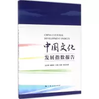 11中国文化发展指数报告978720813752322