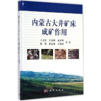 11内蒙古大井矿床成矿作用978703041845622