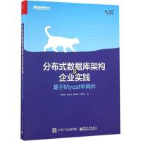 11分布式数据库架构及企业实践:基于Mycat中间件978712130287922