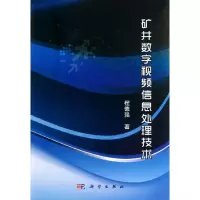 11矿井数字视频信息处理技术978703035772422