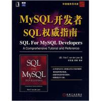 11MySQL开发者SQL权威指南978711122708322