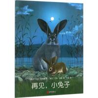 11再见小兔子978755029473822