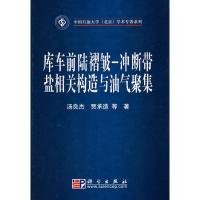 11库车前陆褶皱-冲断带盐相关构造与油气聚集978703026887722