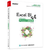 11Excel BI之道:从零开始学Power工具应用978712132662222