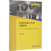 11中国资本账户开放问题研究978730128073722