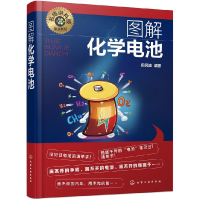 11名师讲科技前沿系列--图解化学电池978712233676722