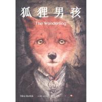 11狐狸男孩978751422333022