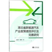 11湖北省新能源汽车产业政策绩效评价及完善研究978730719972922