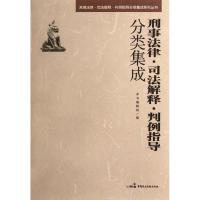 11刑事法律.司法解释.判例指导分类集成978751620030822