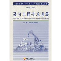 11采油工程技术进展978750215401122