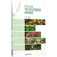 11庐山山地常见药用植物原色图谱978750677041522