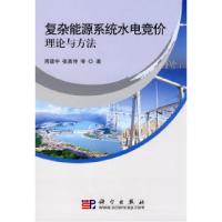 11复杂能源系统水电竞价理论与方法978703026680422