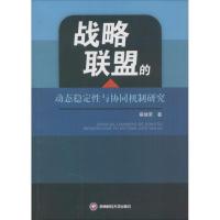 11战略联盟的动态稳定性与协同机制研究978755041505822