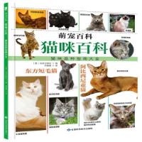 11猫咪百科》978754242732822