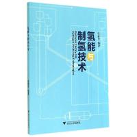 11氢能与制氢技术/吴素芳978730813576422