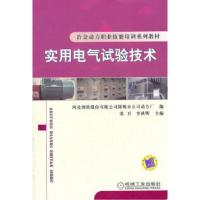 11实用电气试验技术978711133847522