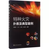 11特种火灾扑救及典型案例978712230509122