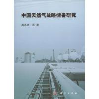 11中国天然气战略储备研究978703042801122