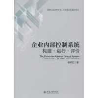 11企业内部控制系统(构建运行评价)978730121716022