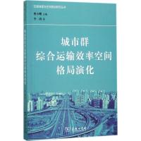 11城市群综合运输效率空间格局演化978710012987922