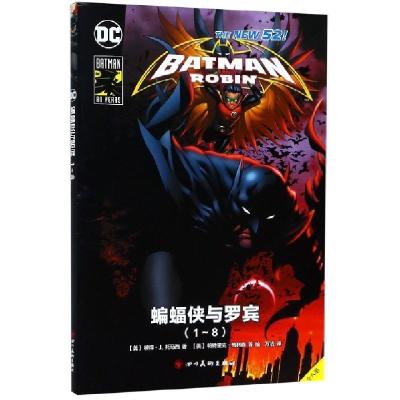 11蝙蝠侠与罗宾(共8册)978754108490422
