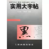 11实用大字帖:魏《张黑女墓志》选字本978780530657522