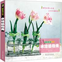 11绿色生活DIY:水培植物秀978751238529022