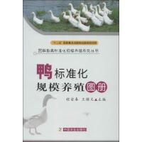11鸭标准化规模养殖图册978710917369922