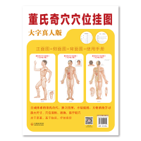11董氏奇穴穴位挂图(附使用手册大字真人版共3张)978752141182922