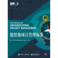 11组织级项目管理标准978712136315322