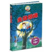 11小狼人1——生日惊魂978751480288722