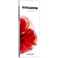 11鲜切花品种图册978751980938622