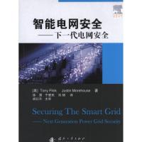 11智能电网安全 :下一代电网安全978711808553222