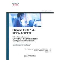 11Cisco BGP-4命令与配置手册978711524954822