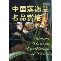 11中国莲瓣兰名品赏培978750383310622